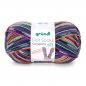 Grndl Hot Socks Campione 100g, 420m