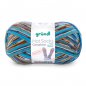 Grndl Hot Socks Campione 100g, 420m