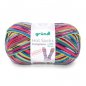 Grndl Hot Socks Campione 100g, 420m