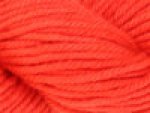 Ashford Proteinfarbe 10g orange (orange)