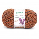 Grndl Hot Socks Lugano 100g, 420m