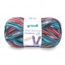 Grndl Hot Socks Campione 100g, 420m